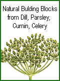 Natural Bulding blocks from Plants and Derivatives: Dill, Parsley, Cumin, Celery